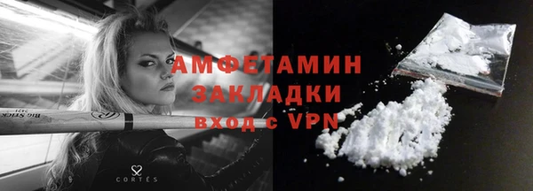 ГАЛЛЮЦИНОГЕННЫЕ ГРИБЫ Бородино
