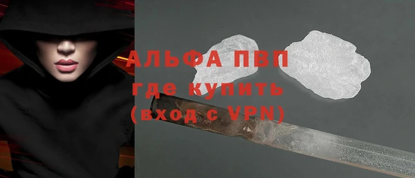 ГАЛЛЮЦИНОГЕННЫЕ ГРИБЫ Бородино
